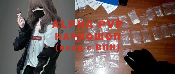 стафф Алзамай