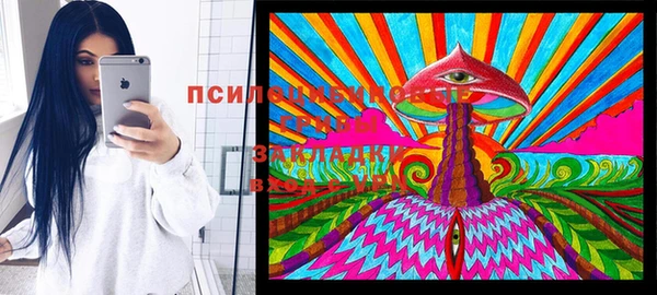 сатива Алексеевка