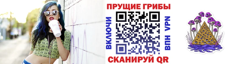 Галлюциногенные грибы Psilocybine cubensis  Баймак 